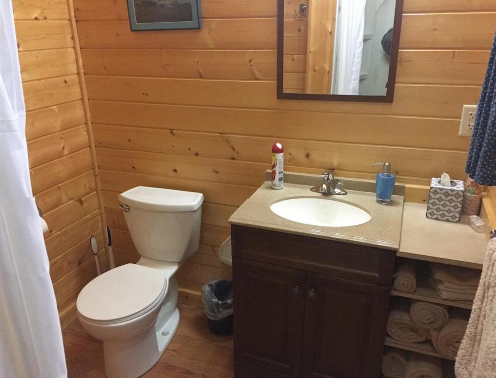 Talkeetna Lakeside Cabins Denali Bagian luar foto