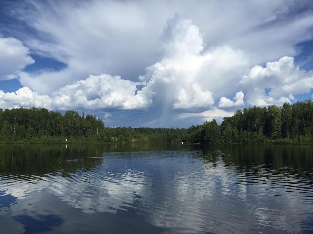 Talkeetna Lakeside Cabins Denali Bagian luar foto