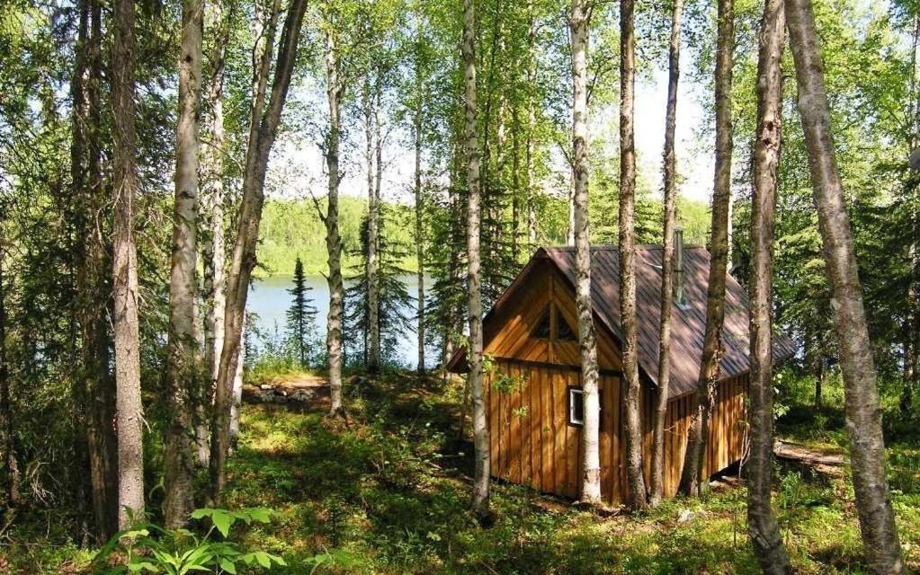 Talkeetna Lakeside Cabins Denali Bagian luar foto